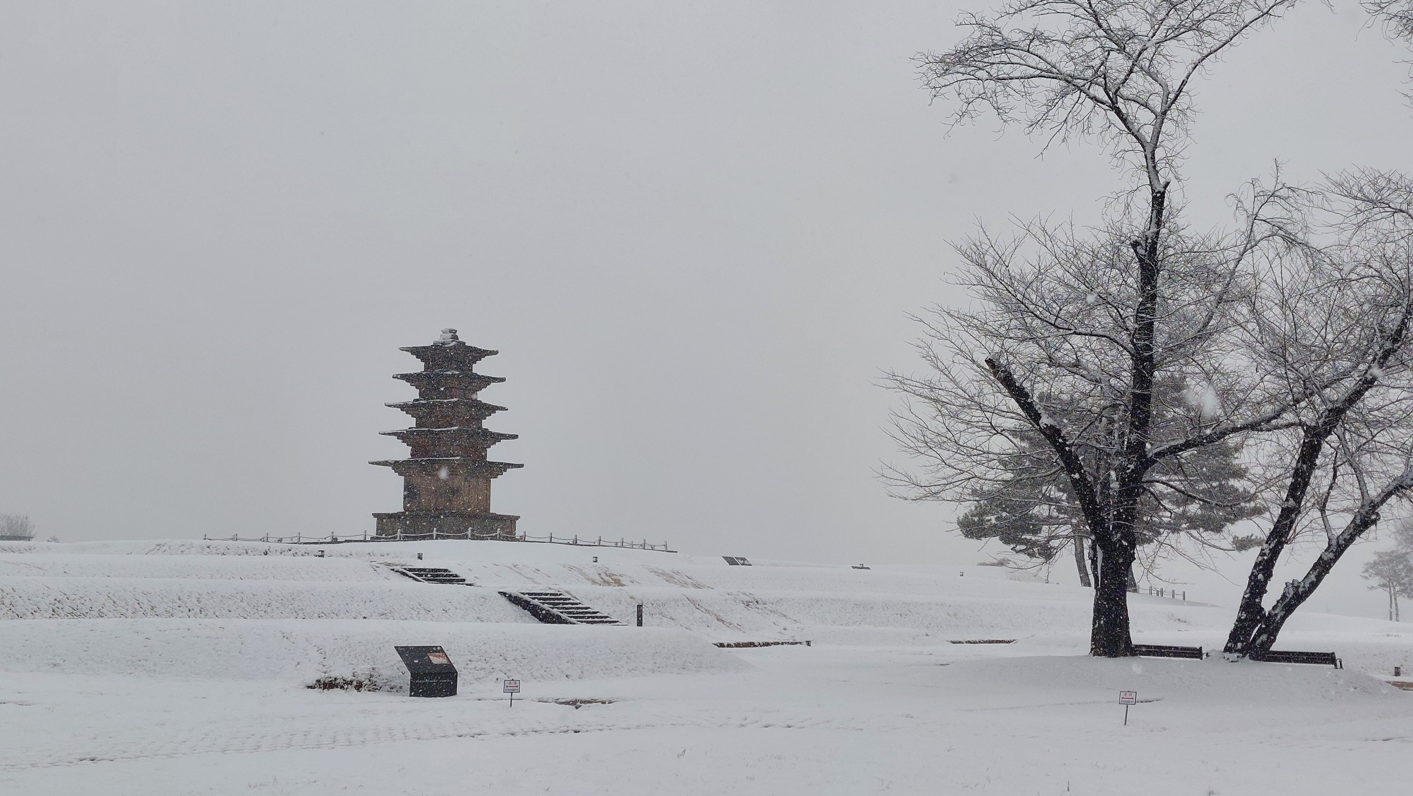 설연휴 익산나들이 썸네일