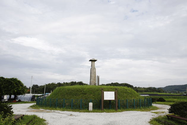 익산 고도리 석조여래입상