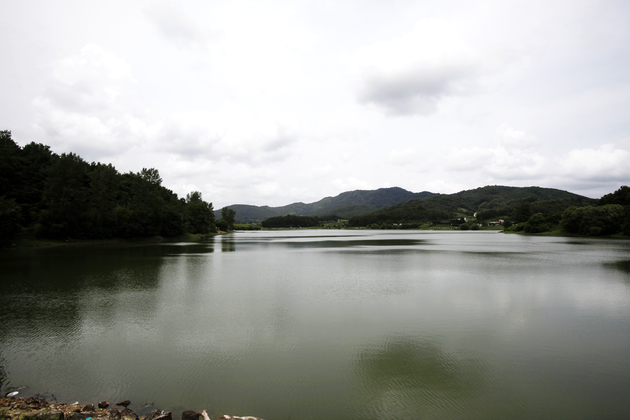 금마저수지 썸네일
