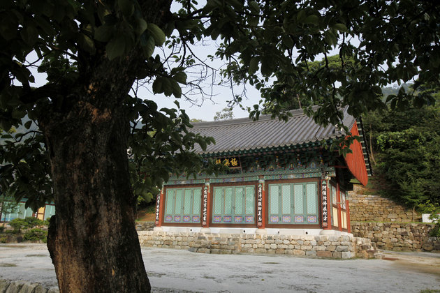 큰나무와문수사.jpg