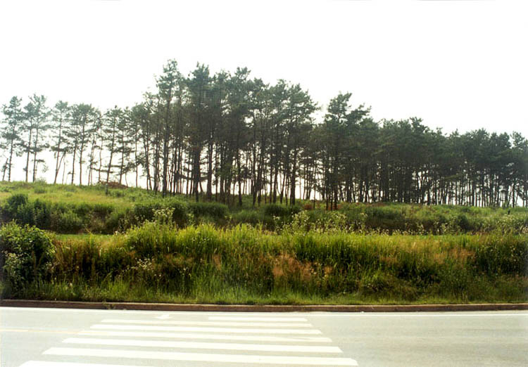 율촌리 고분군 썸네일