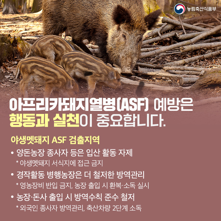 가을철ASF방역수칙(카드뉴스).jpg