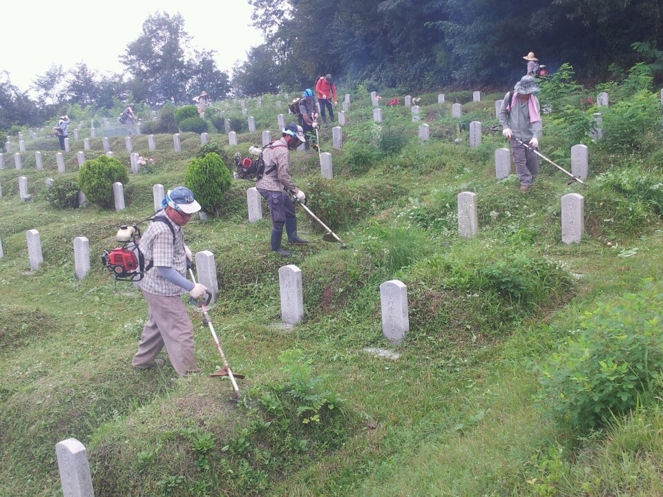 2015 공설묘지 제초작업 보도자료 사진.jpg