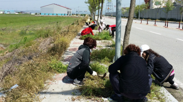 용곤마을 코스코스길 제초작업 사진 썸네일