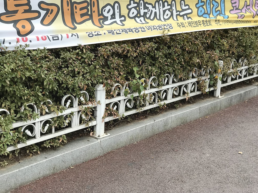 통기타반 활동 홍보 썸네일