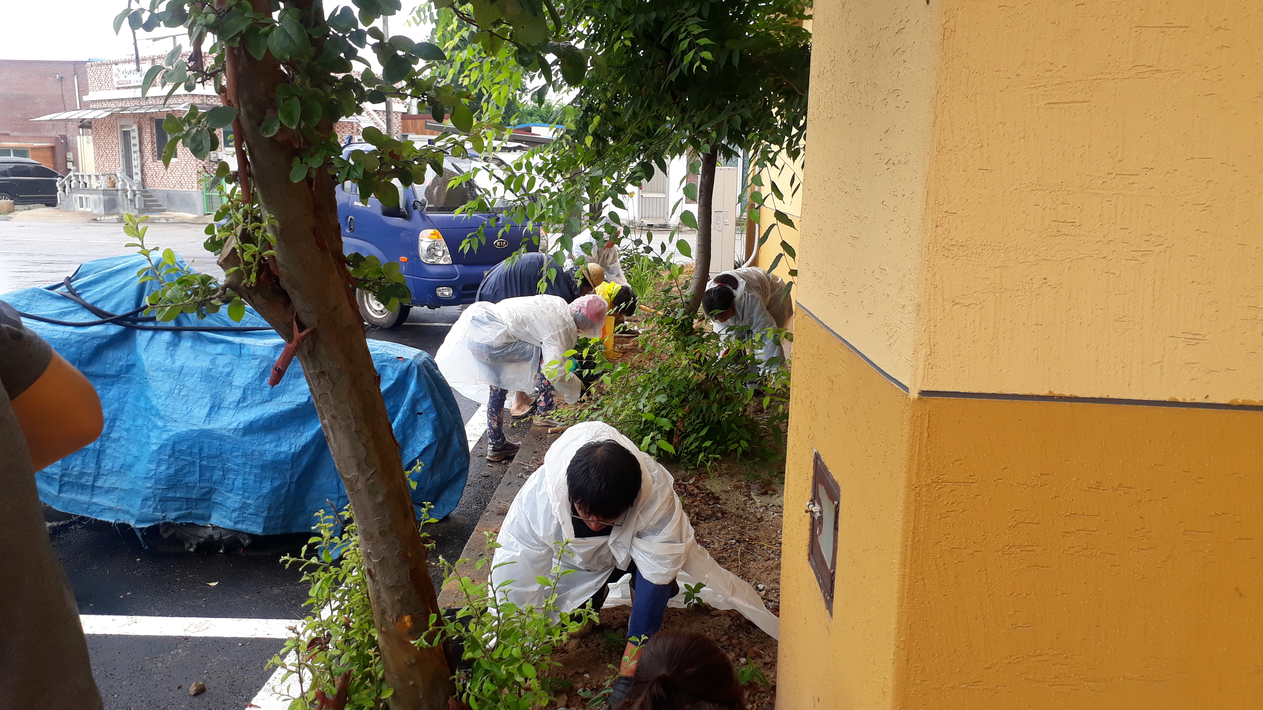 복지회관 화단 초화류 심기 썸네일