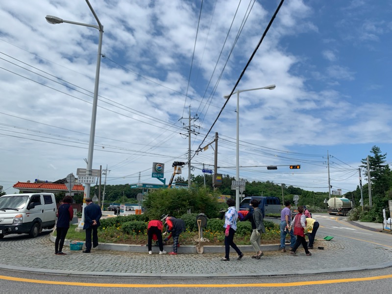왕궁면 주민자치위원회 신평로터리 여름꽃 식재 (7.1) 썸네일