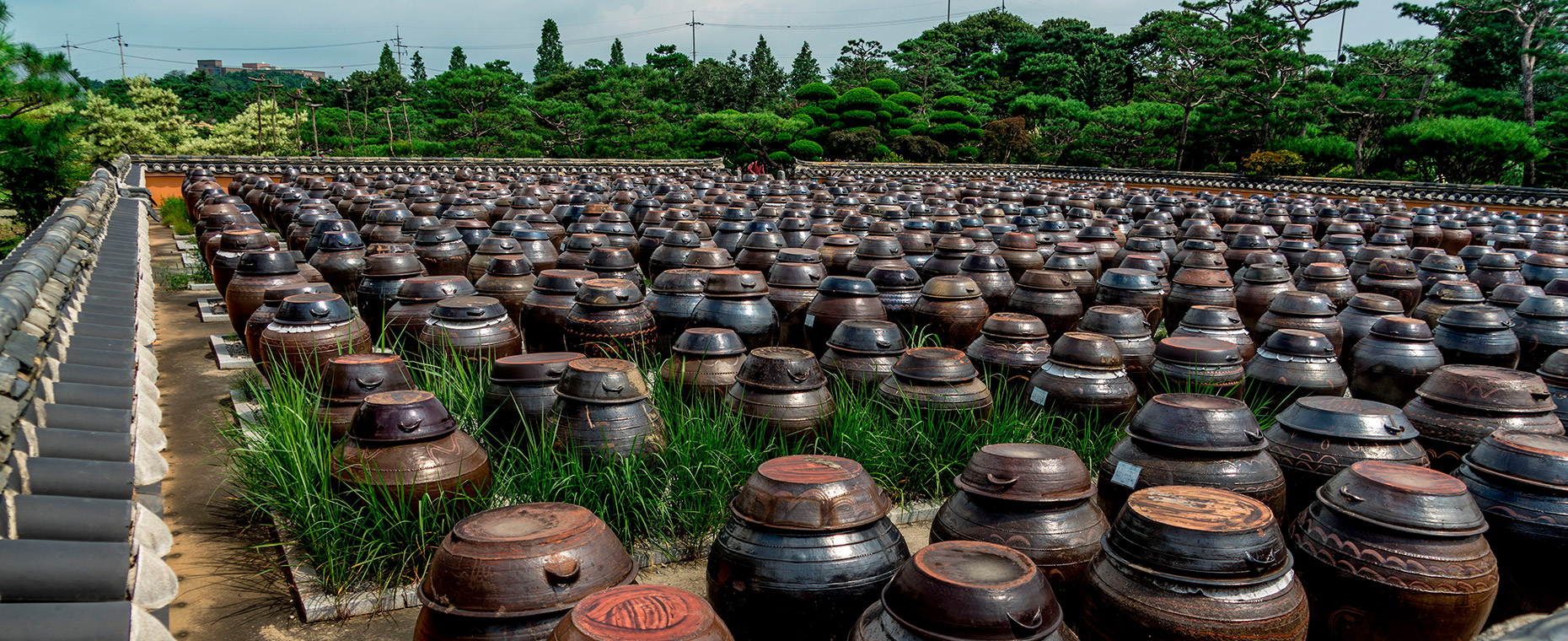 5,000여개의 항아리를 보유한 고스락