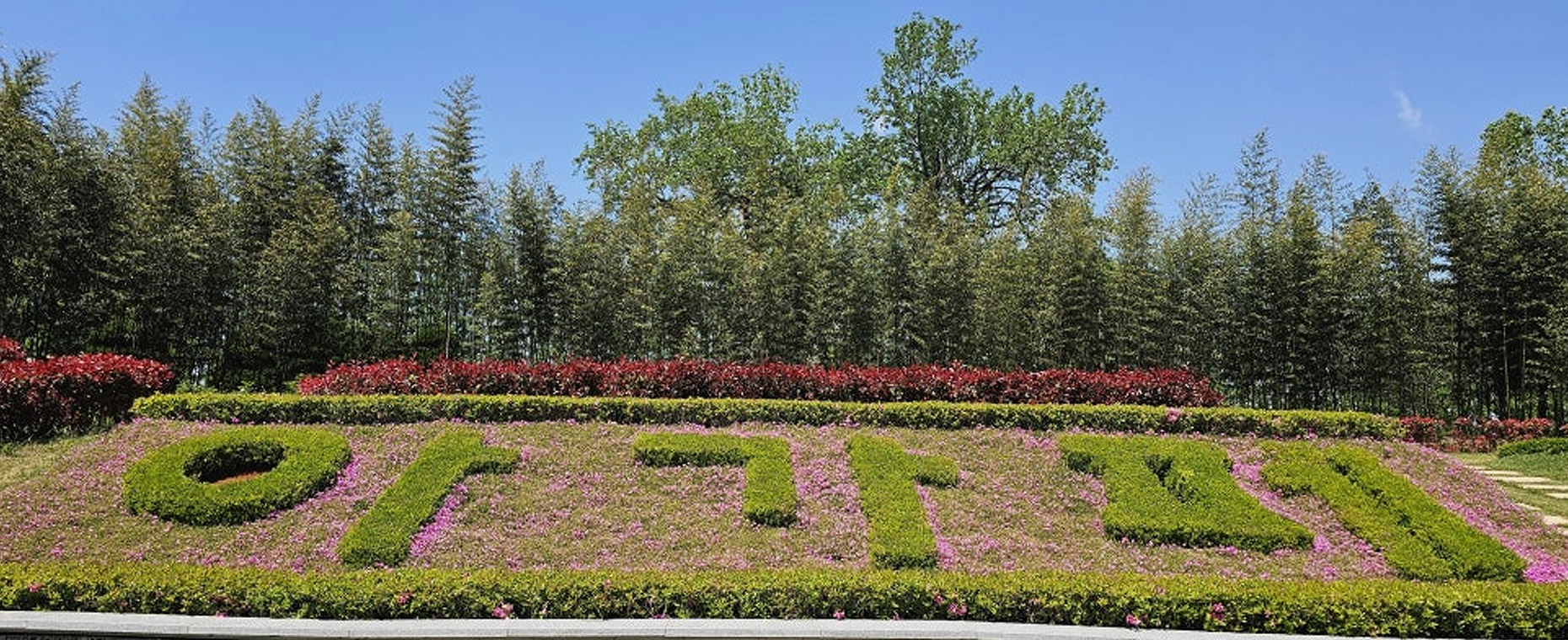 사계절 아름다운 자연과 메타세콰이어가 장관인 아가페정원