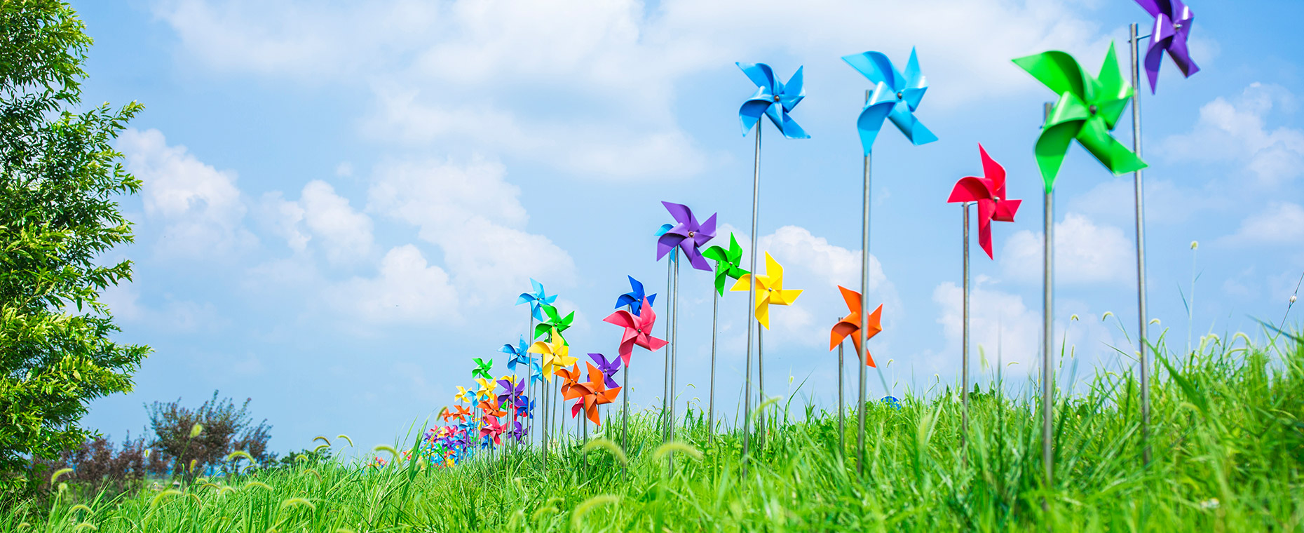 국내 억새군락 중 최대규모를 자랑하는 용안생태습지