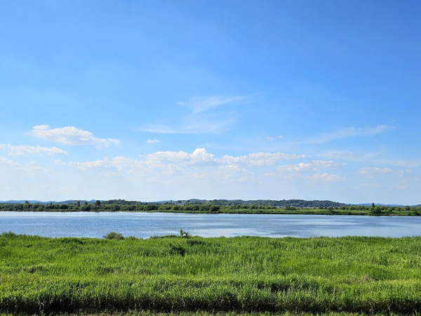 4대강 자전거길(금강권역)