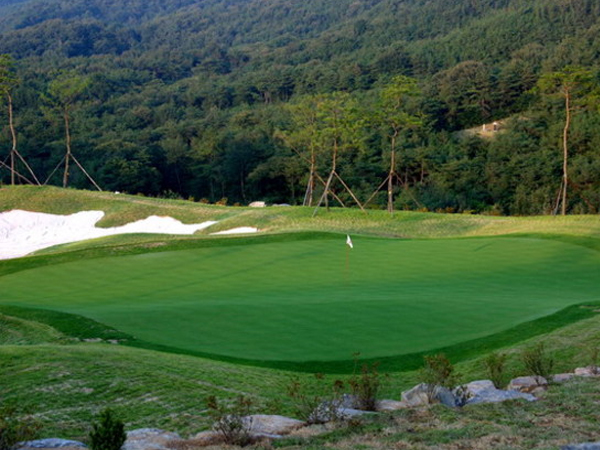 웅포베어리버 골프리조트