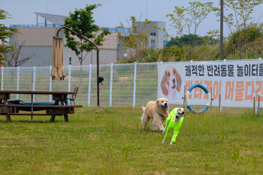 다송무지개매화마을 놀이터