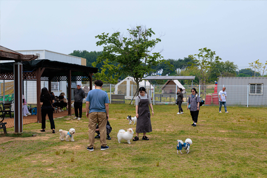 다송무지개매화마을 놀이터