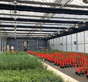 국화재배온실·하우스