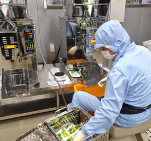 농산물 종합가공센터