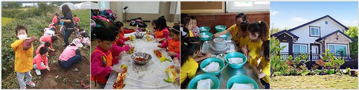 대파니힐링팜 체험이미지