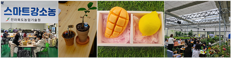 봄나루222 치유농장 체험이미지