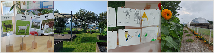 분홍염소 체험교육농장 체험이미지