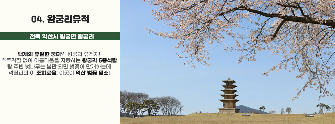 04.왕궁리유적(전북 익산시 왕궁면 왕궁리) : 백제의 유일한 궁터인 왕궁리 유적지! 흐트러짐 없이 아름다움을 자랑하는 왕궁리 5층 석탑 탑 주변 벚나무는 봄만 되면 벚꽃이 만개하는데 석탑과의 이 조화로움! 이곳이 익산 벚꽃 명소!