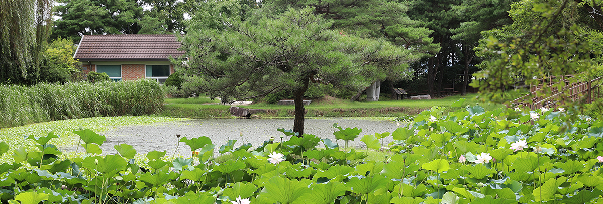 원광대학교 자연식물원