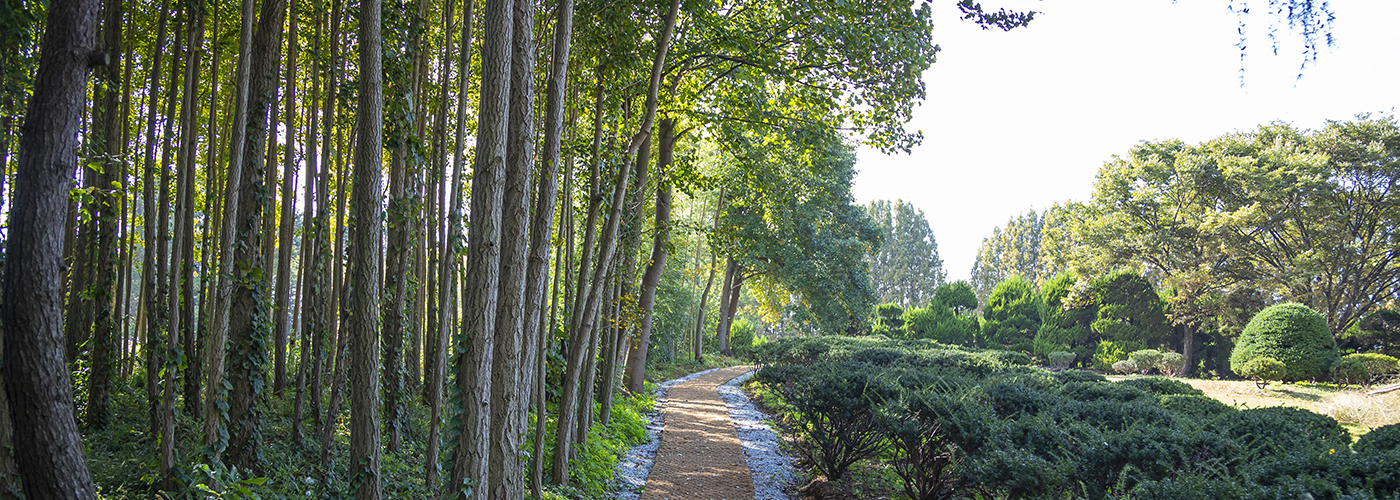 제7경 아가페정원
