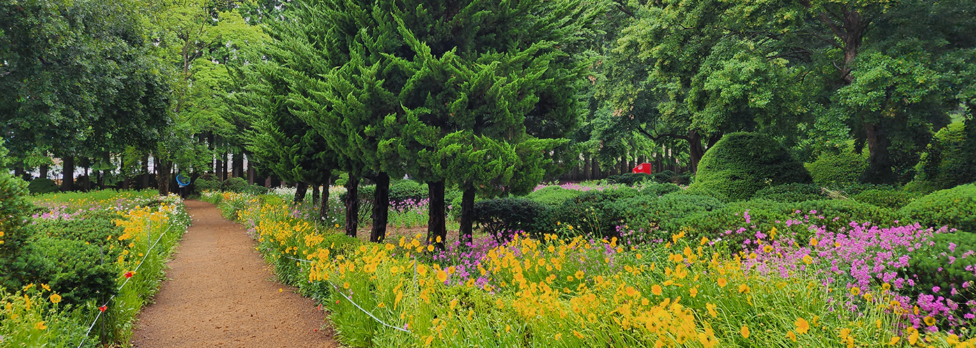 제7경 아가페정원