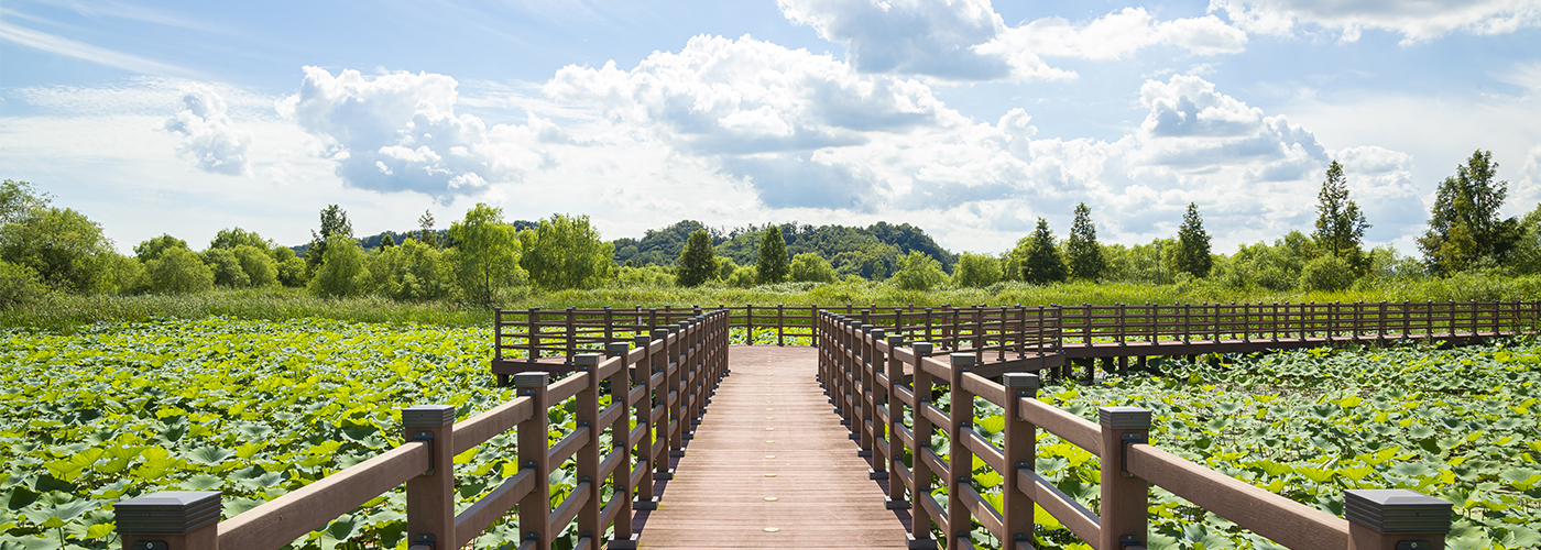 제9경 용안생태습지/웅포곰개나루
