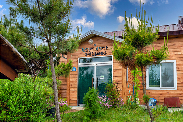 풀빛향기 송정마을