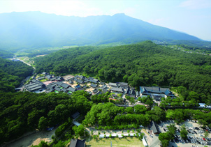 산사, 한국의 산지승원