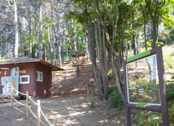 유아숲체험원 전경