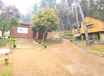 유아숲체험원 전경