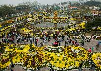 국화축제