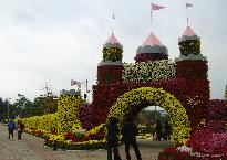 제6회익산천만송이국화축제