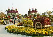 제6회익산천만송이국화축제