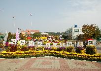 제6회익산천만송이국화축제