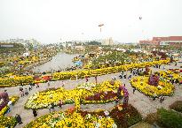 제6회익산천만송이국화축제