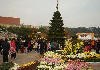 축제장 전경