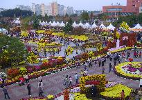 축제장 전경