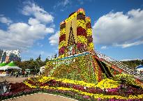 2015 국화축제 사진(LED 미륵사지 석탑)