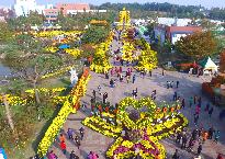 제13회 익산천만송이국화축제 사진 14