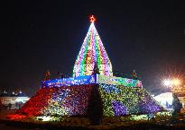 2017년 제14회 익산천만송이 국화축제 사진3