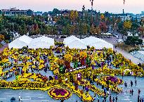 2017년 제14회 익산천만송이 국화축제 사진8