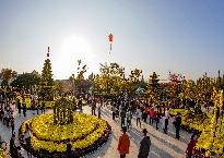 2017년 제14회 익산천만송이 국화축제 사진17