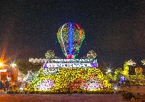 2018년 제15회 익산 천만송이 국화축제 사진2