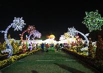 2018년 제15회 익산 천만송이 국화축제 사진3