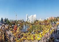 2018년 제15회 익산 천만송이 국화축제 사진15