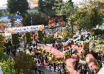 2019년 제16회 익산 천만송이 국화축제 사진3