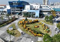 제20회 익산 천만송이 국화축제 익산역 전시