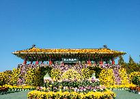 제21회 익산 천만송이 국화축제